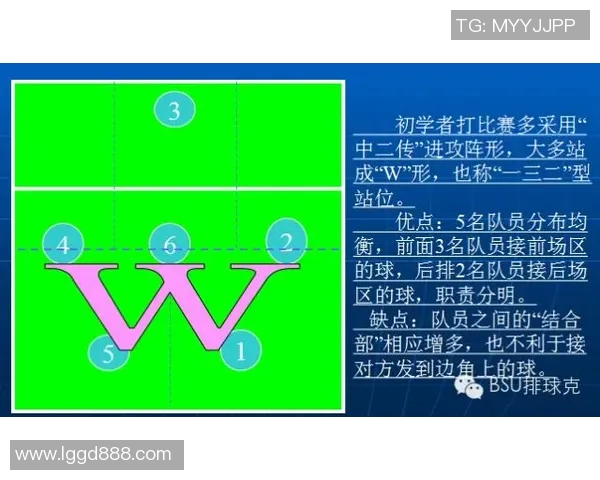 武汉排球队中路突破的战术分析与比赛表现评估 武汉排球队中路突破的战术分析与比赛表现评估