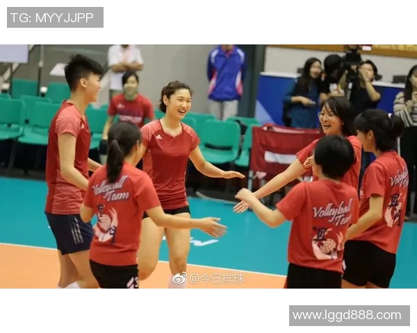 武汉排球队员个人能力分析与团队协作的深度探讨 武汉排球队员个人能力分析与团队协作的深度探讨