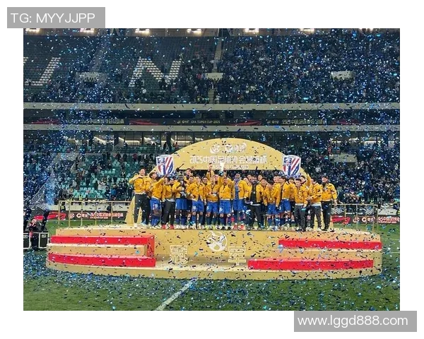 2017年辽宁足球队对阵申花精彩直播回顾与赛后分析