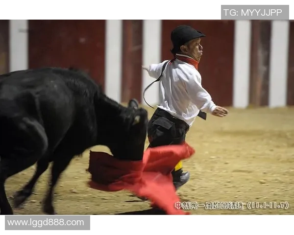 哥伦比亚与日本实时对决精彩回顾与赛况分析 哥伦比亚与日本实时对决精彩回顾与赛况分析