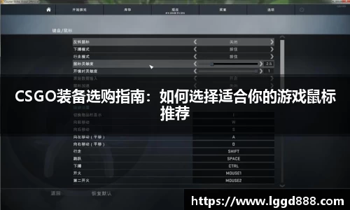 CSGO装备选购指南：如何选择适合你的游戏鼠标推荐